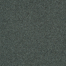 Ковровая плитка Interface Polichrome Stipple 4265003 Caviar фото 1 | FLOORDEALER